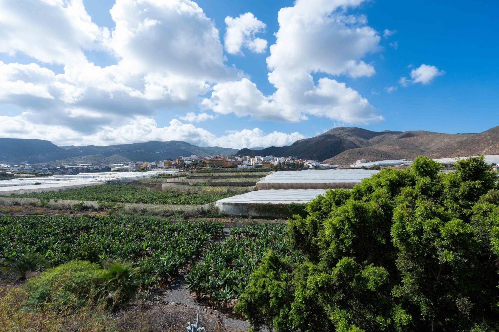 Las Fajanas De Galdar Las Palmas de Gran Canaria Esterno foto